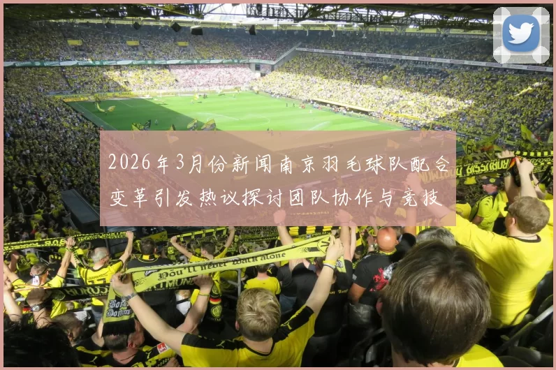 2026年3月份新闻南京羽毛球队配合变革引发热议探讨团队协作与竞技水平提升之路